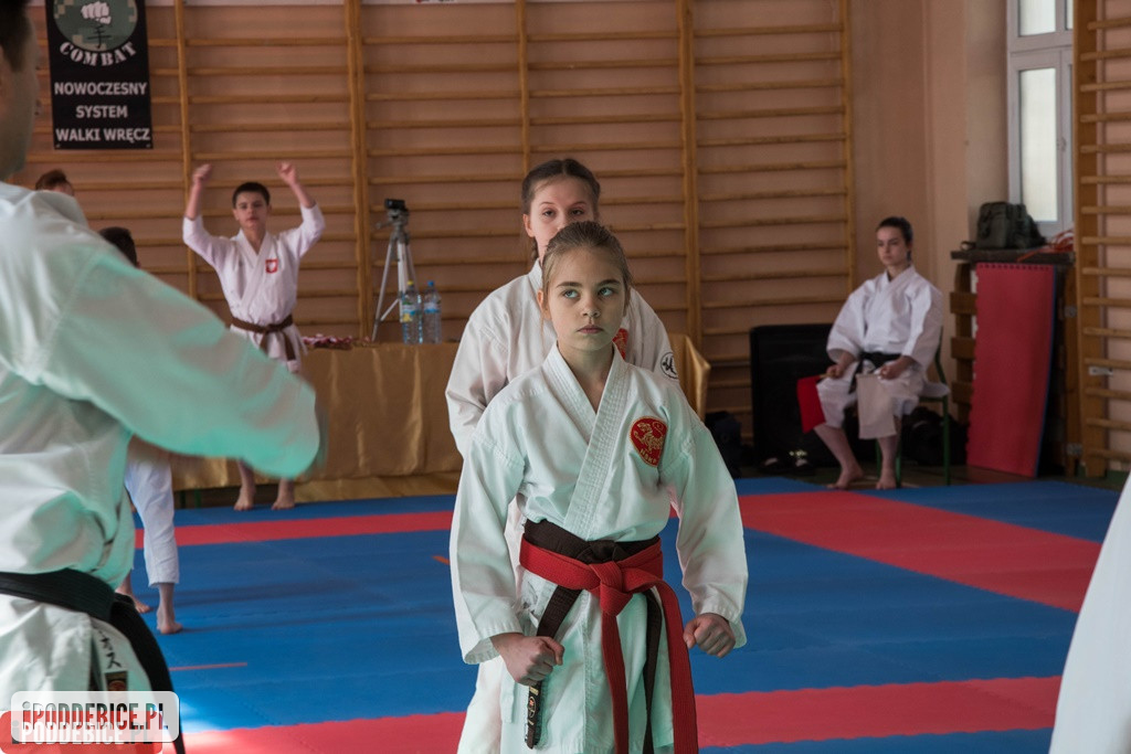 Mistrzostwa karate DRAGON