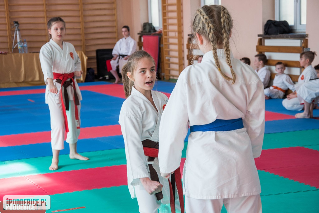 Mistrzostwa karate DRAGON