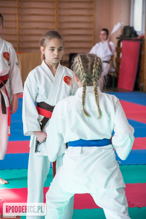 Mistrzostwa karate DRAGON
