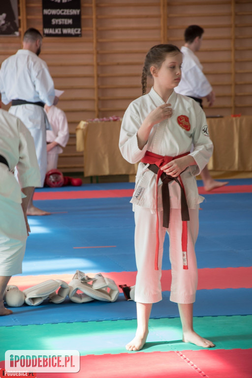 Mistrzostwa karate DRAGON