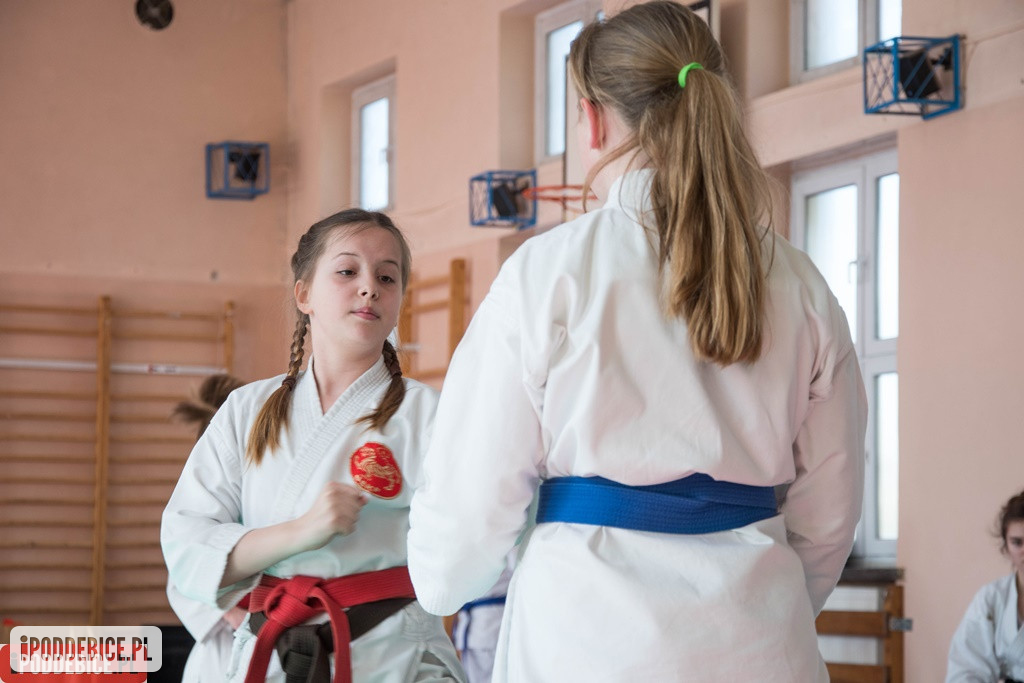 Mistrzostwa karate DRAGON