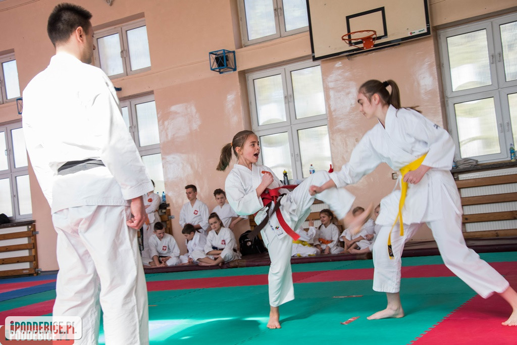 Mistrzostwa karate DRAGON