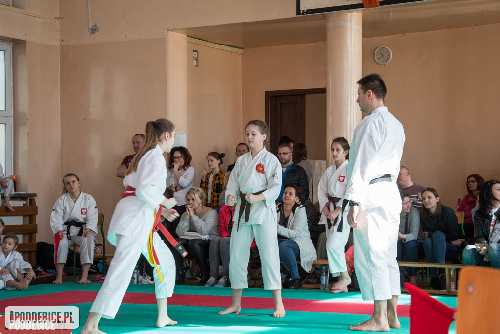 Mistrzostwa karate DRAGON