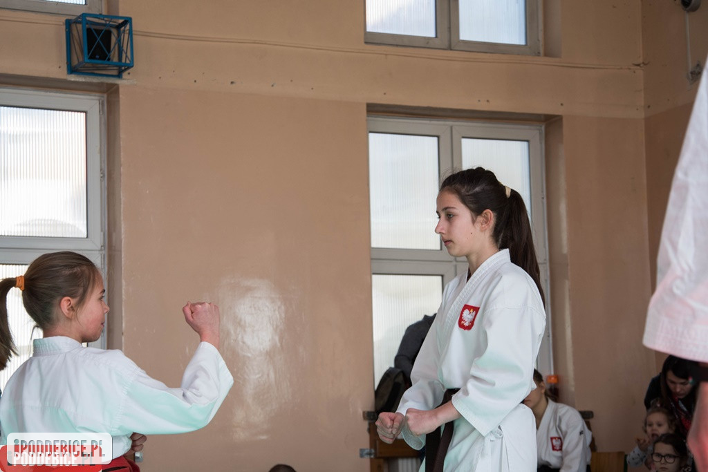 Mistrzostwa karate DRAGON