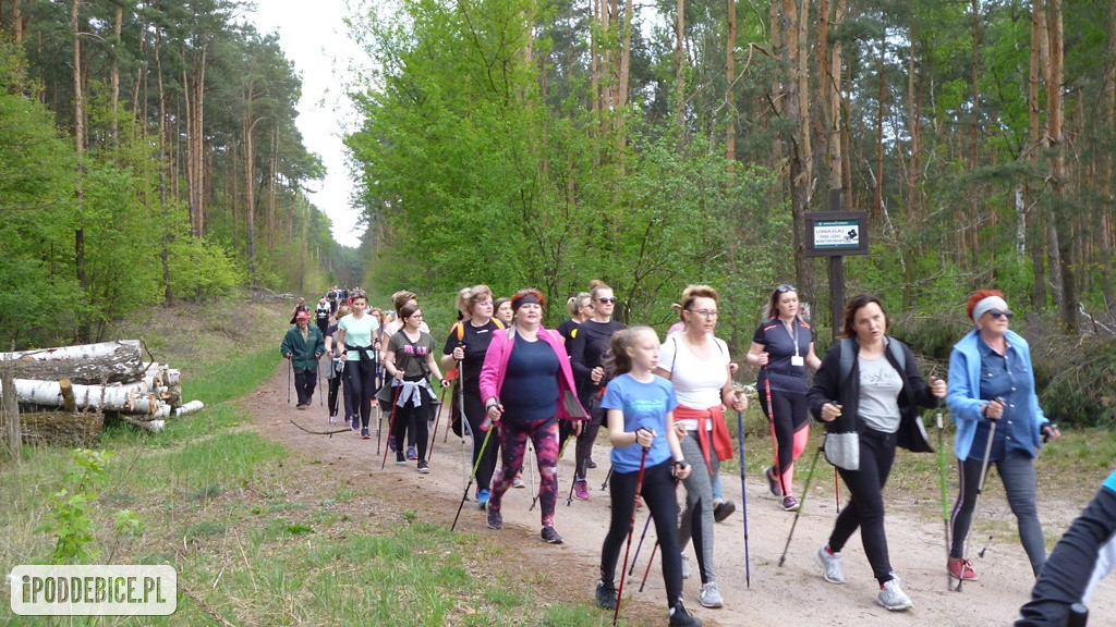 I Marsz po Zdrowie do Gorących Źrodeł