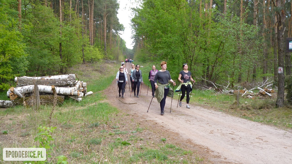 I Marsz po Zdrowie do Gorących Źrodeł