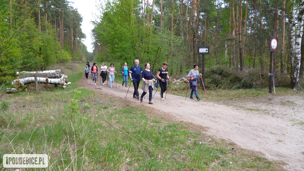 I Marsz po Zdrowie do Gorących Źrodeł