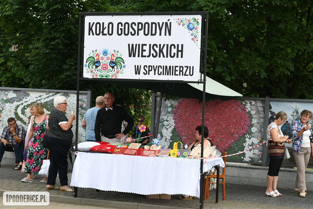 Kwietne dywany w Spycimierzu