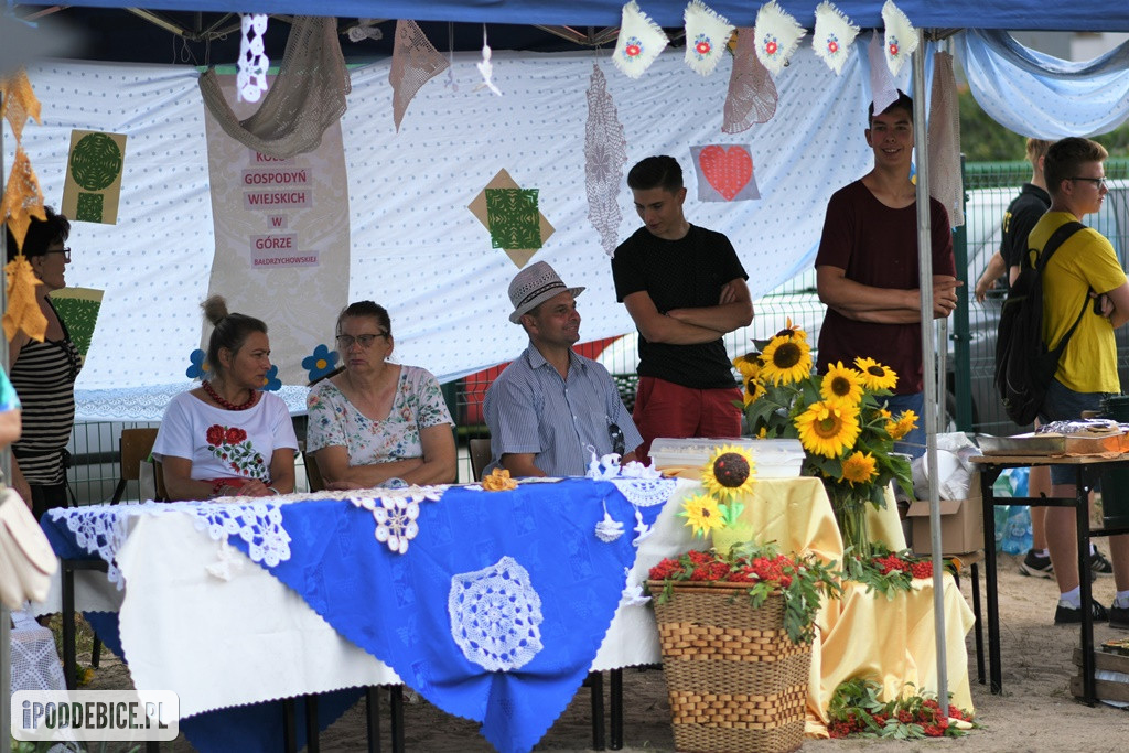 Powiatowy Piknik Rodzinny w Poddębicach