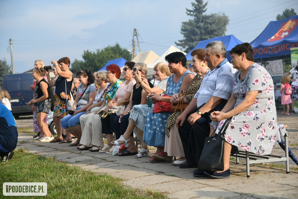 Powiatowy Piknik Rodzinny w Poddębicach
