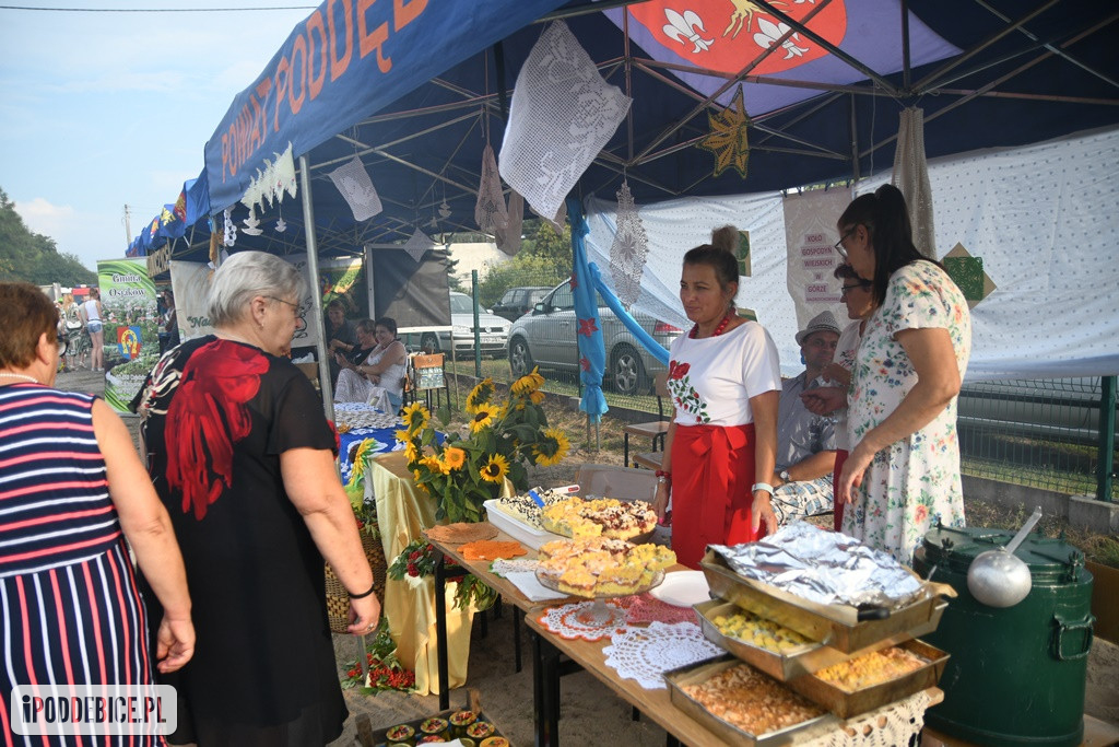 Powiatowy Piknik Rodzinny w Poddębicach