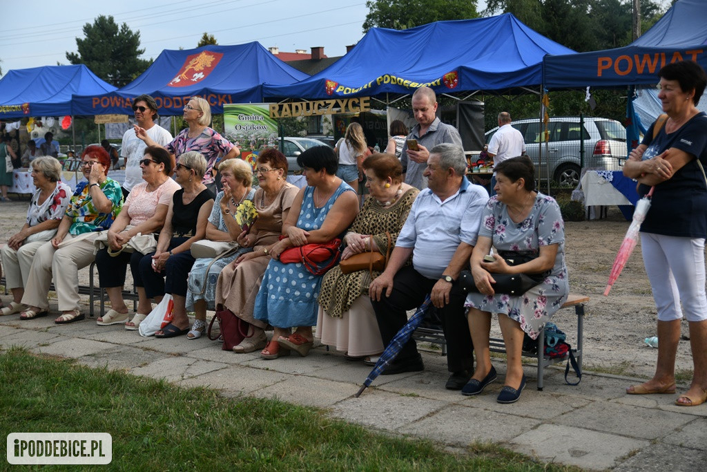 Powiatowy Piknik Rodzinny w Poddębicach