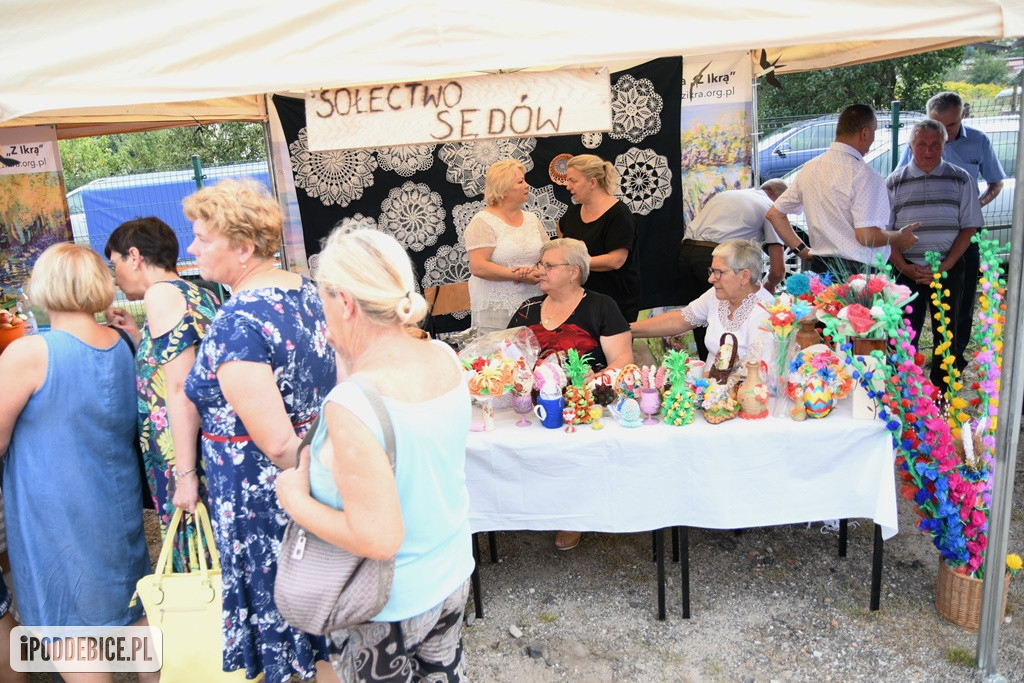 Powiatowy Piknik Rodzinny w Poddębicach