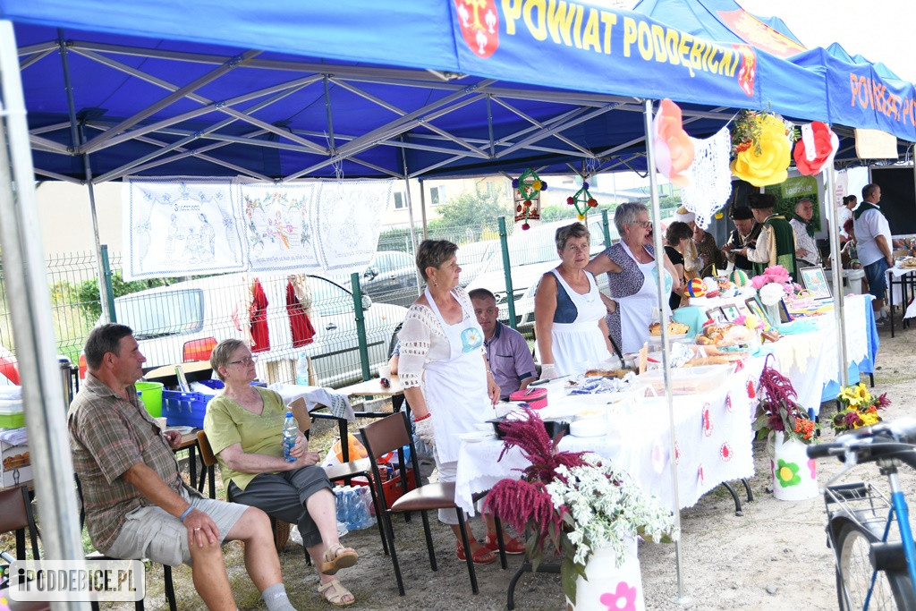 Powiatowy Piknik Rodzinny w Poddębicach