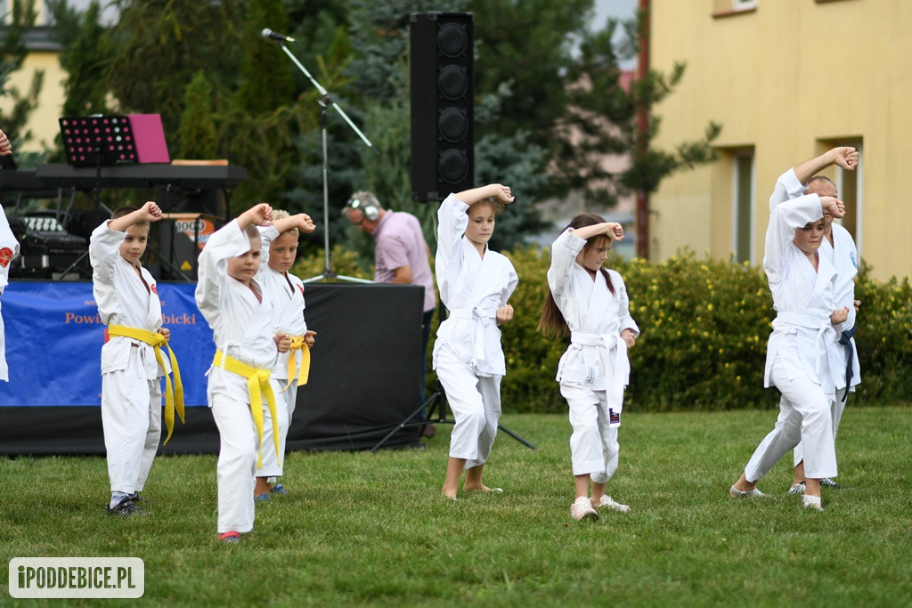 Powiatowy Piknik Rodzinny w Poddębicach
