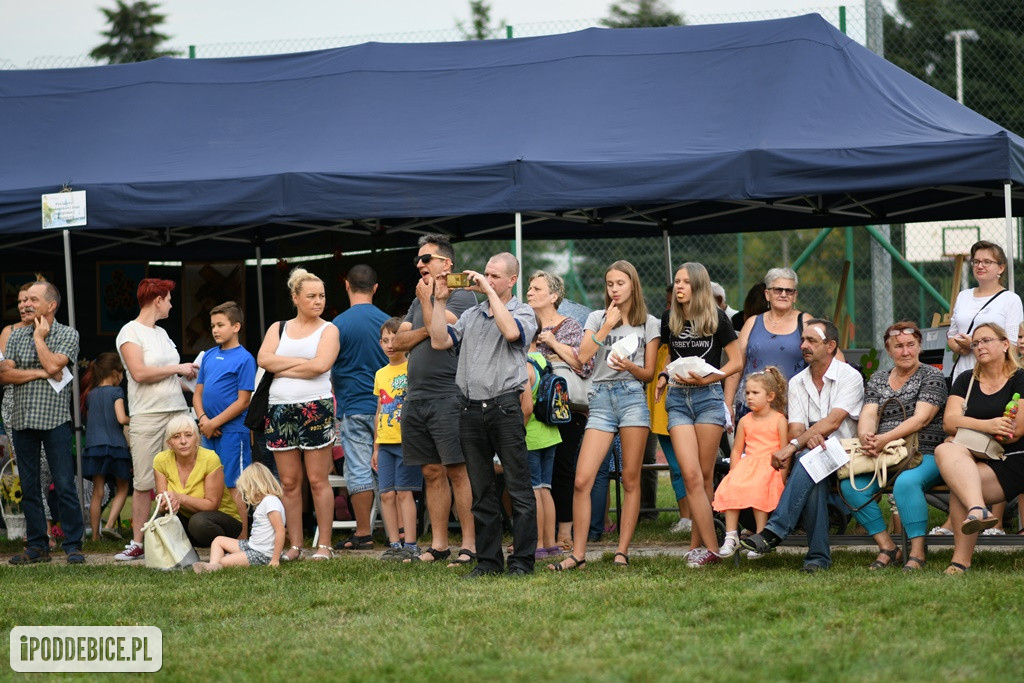 Powiatowy Piknik Rodzinny w Poddębicach