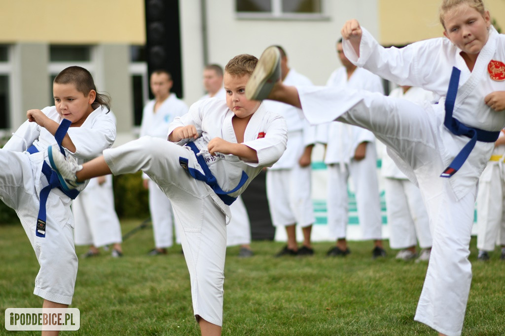 Powiatowy Piknik Rodzinny w Poddębicach