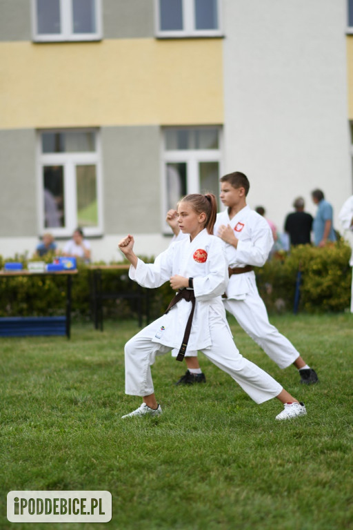 Powiatowy Piknik Rodzinny w Poddębicach