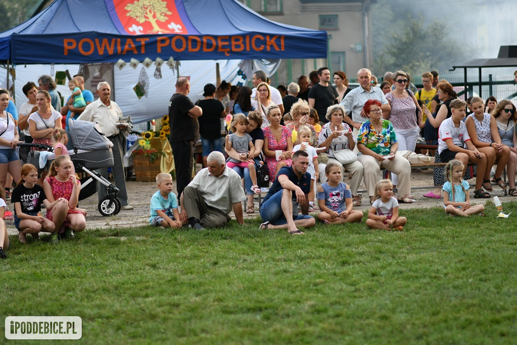Powiatowy Piknik Rodzinny w Poddębicach