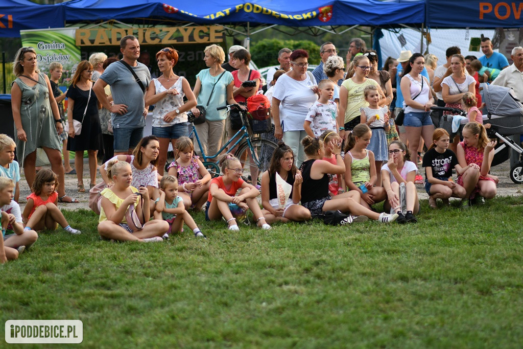Powiatowy Piknik Rodzinny w Poddębicach
