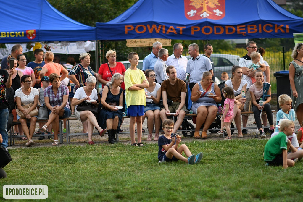 Powiatowy Piknik Rodzinny w Poddębicach