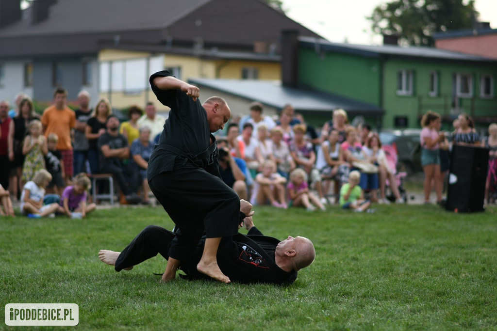 Powiatowy Piknik Rodzinny w Poddębicach