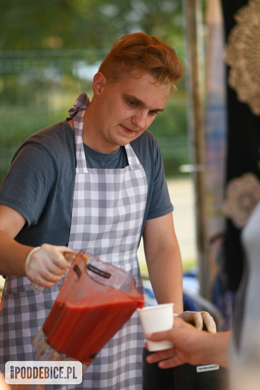 Powiatowy Piknik Rodzinny w Poddębicach