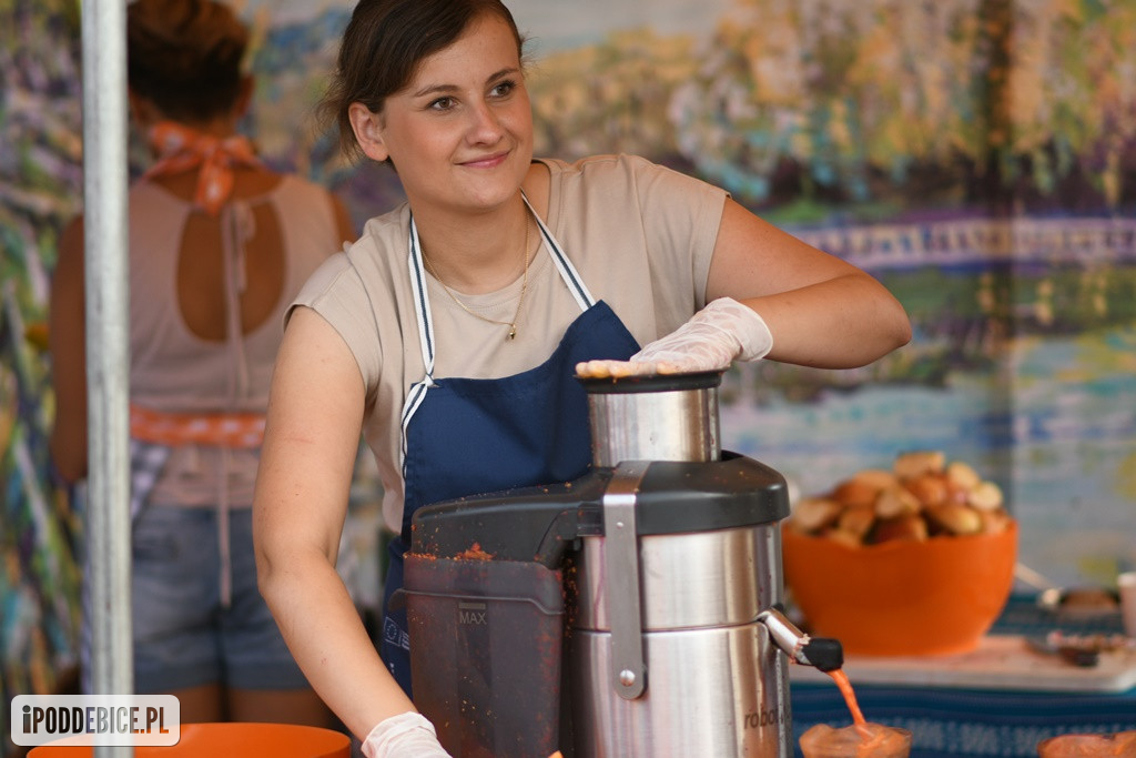 Powiatowy Piknik Rodzinny w Poddębicach