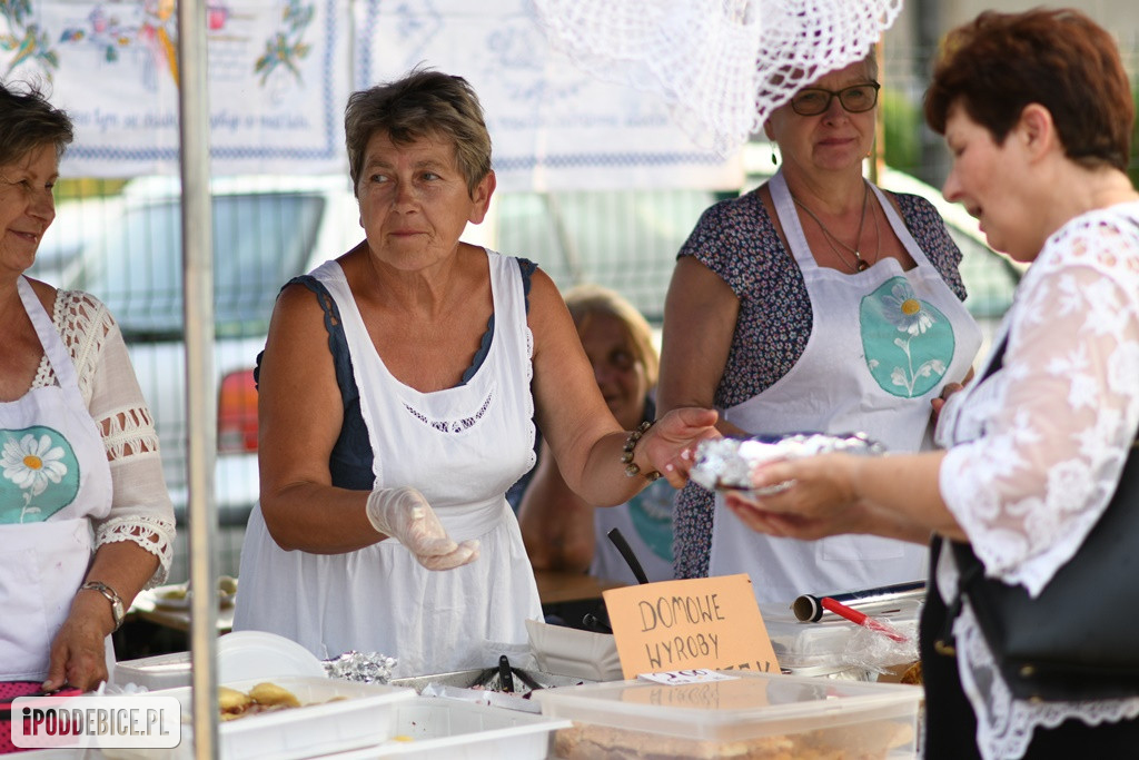 Powiatowy Piknik Rodzinny w Poddębicach