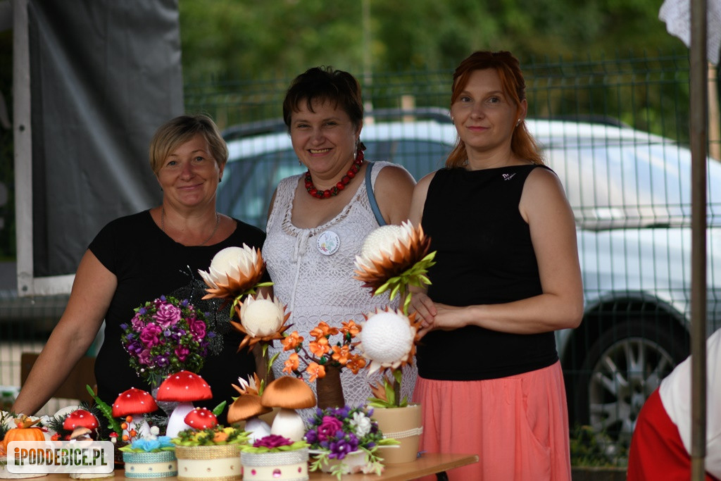 Powiatowy Piknik Rodzinny w Poddębicach