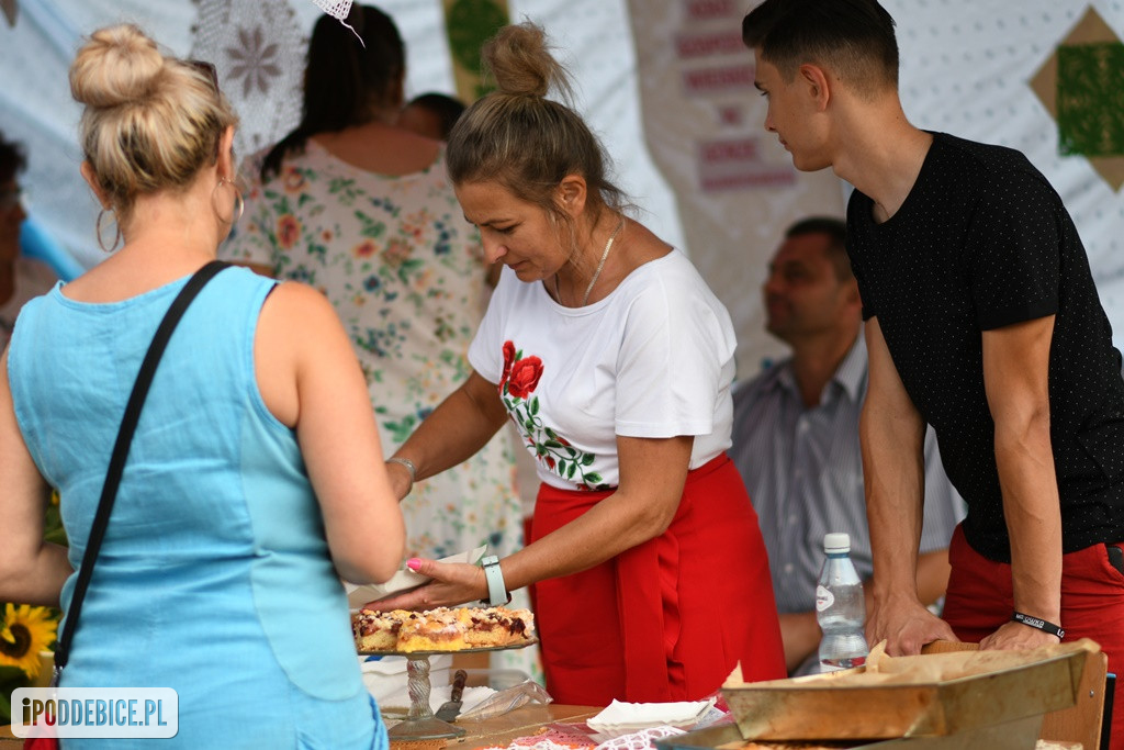 Powiatowy Piknik Rodzinny w Poddębicach