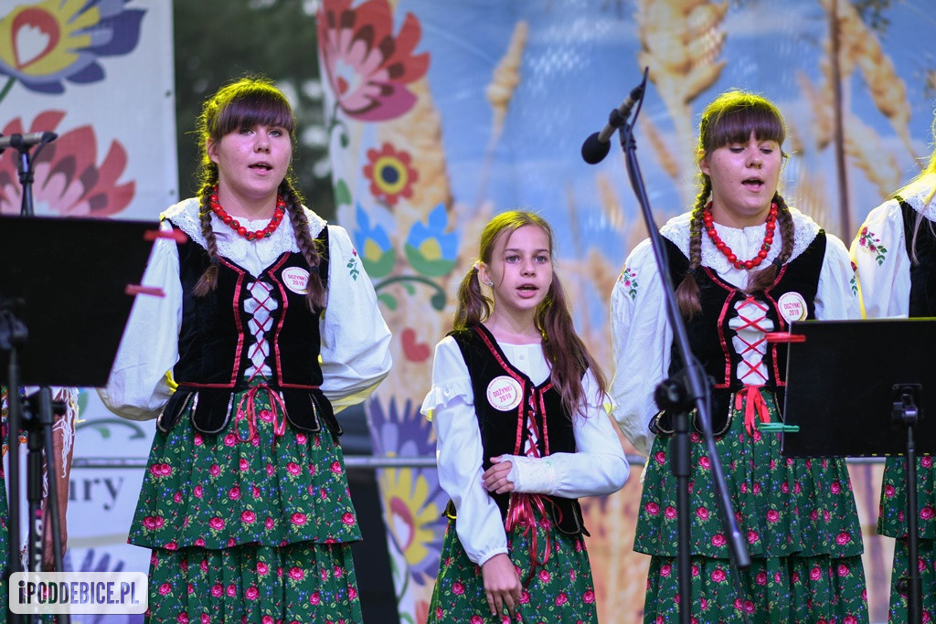 Festiwal Folklorystyczny Powiatu Poddębickiego w Wartkowicach
