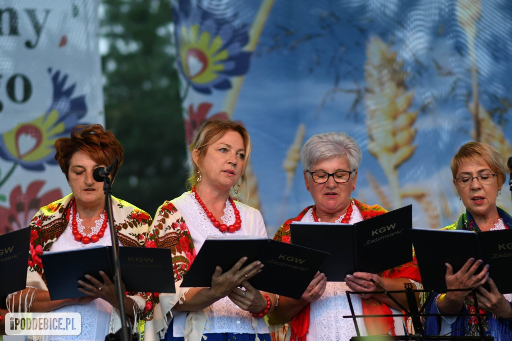 Festiwal Folklorystyczny Powiatu Poddębickiego w Wartkowicach