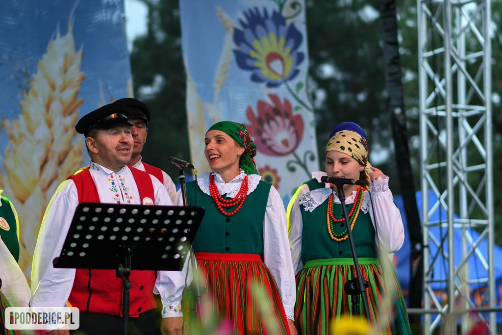 Festiwal Folklorystyczny Powiatu Poddębickiego w Wartkowicach
