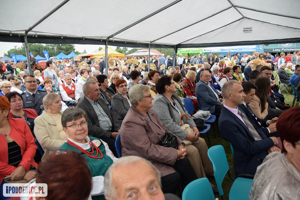 Dożynki Powiatu Poddębickiego w Wartkowicach
