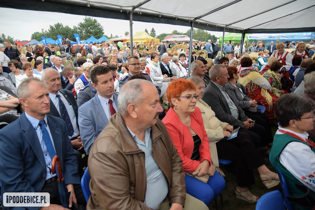 Dożynki Powiatu Poddębickiego w Wartkowicach