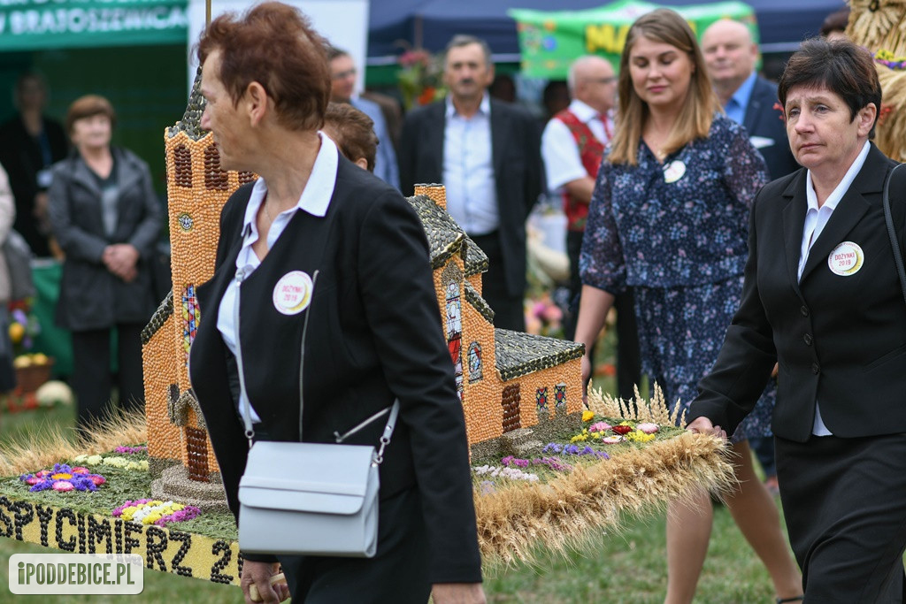 Dożynki Powiatu Poddębickiego w Wartkowicach