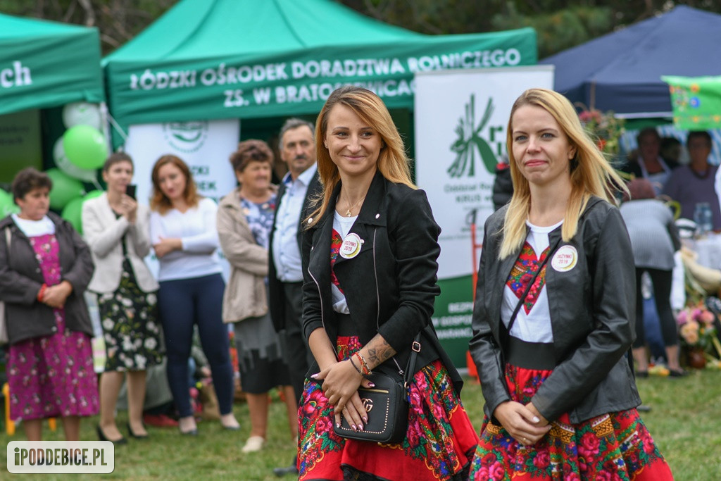Dożynki Powiatu Poddębickiego w Wartkowicach