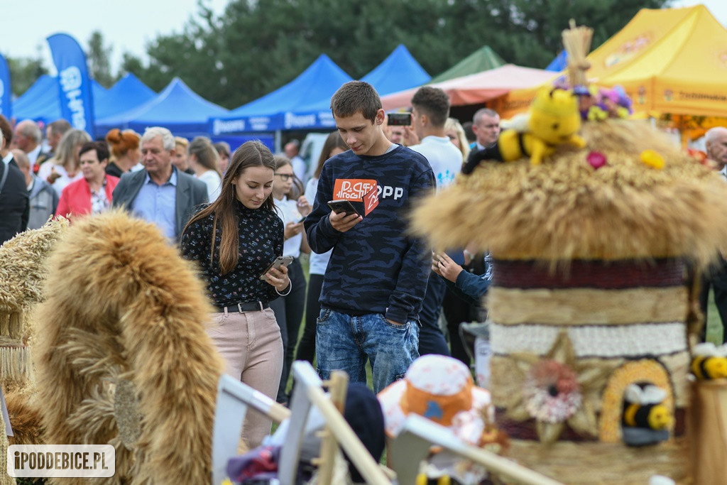 Dożynki Powiatu Poddębickiego w Wartkowicach