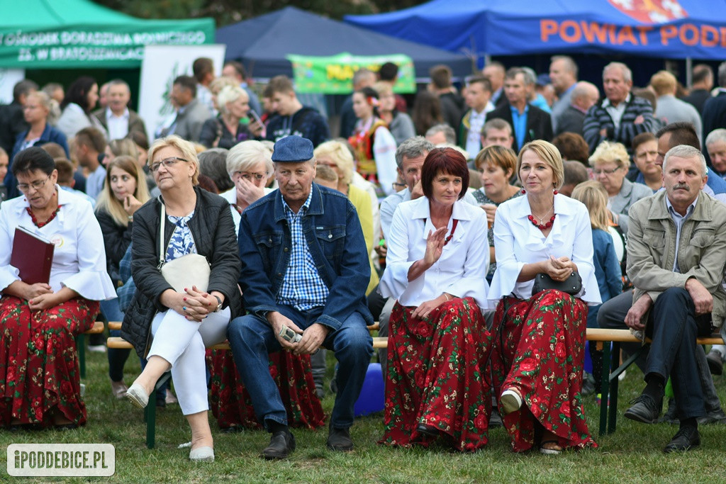 Dożynki Powiatu Poddębickiego w Wartkowicach