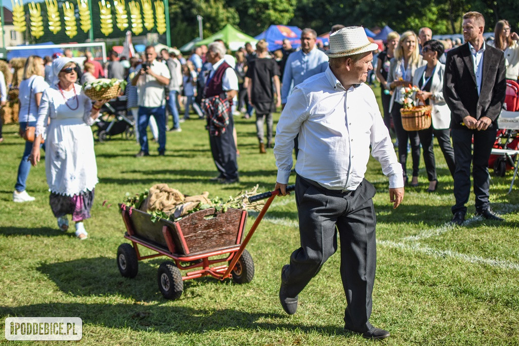 IX Dożynki Powiatu Poddębickiego w Dalikowie