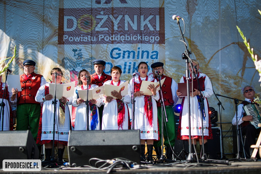 IX Dożynki Powiatu Poddębickiego w Dalikowie