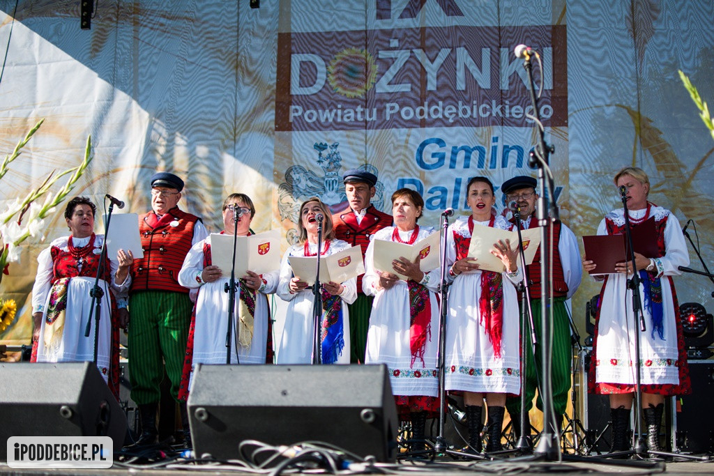 IX Dożynki Powiatu Poddębickiego w Dalikowie