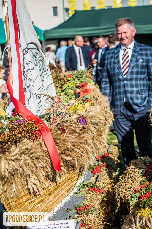 IX Dożynki Powiatu Poddębickiego w Dalikowie