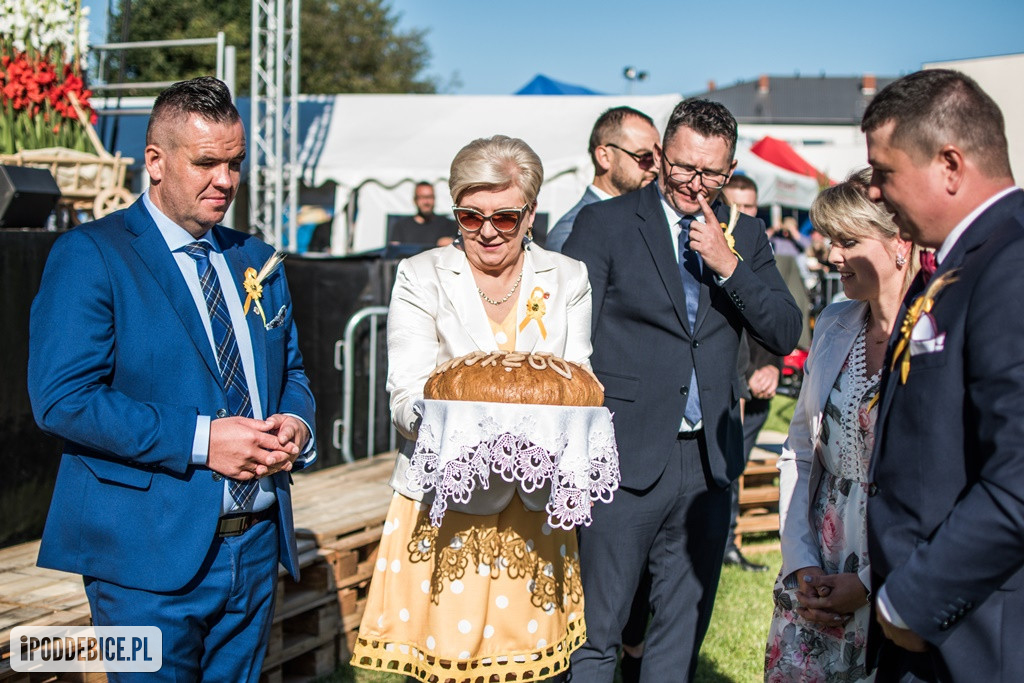 IX Dożynki Powiatu Poddębickiego w Dalikowie