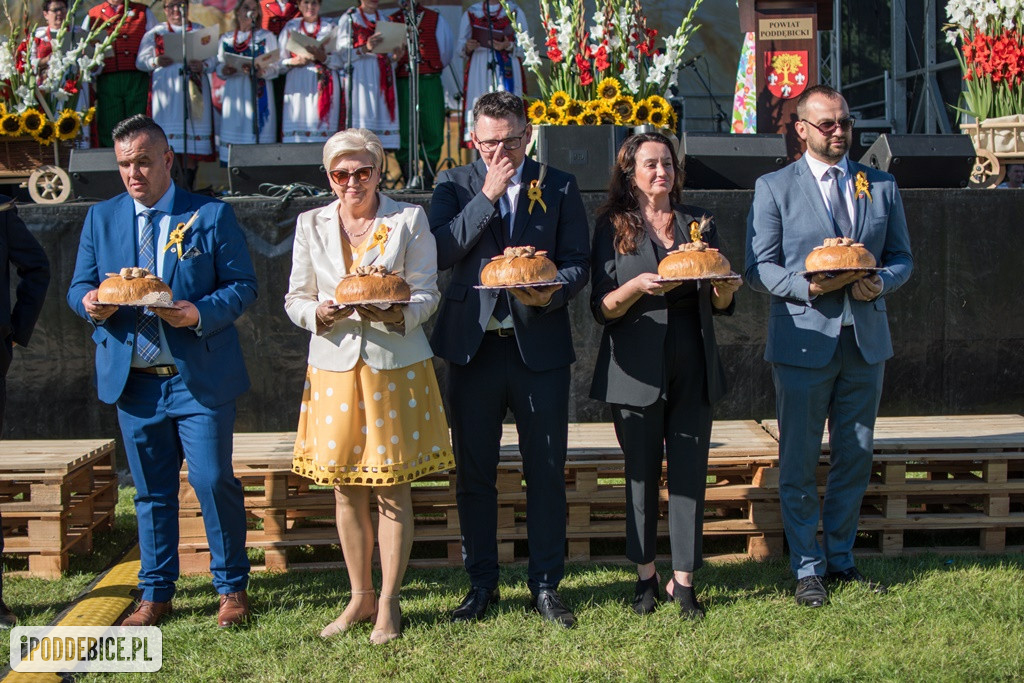 IX Dożynki Powiatu Poddębickiego w Dalikowie