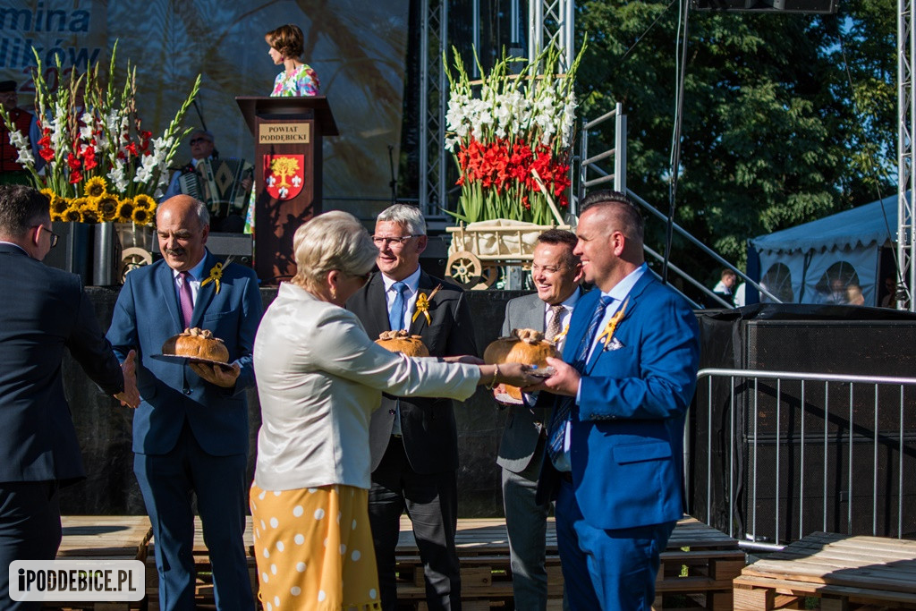 IX Dożynki Powiatu Poddębickiego w Dalikowie