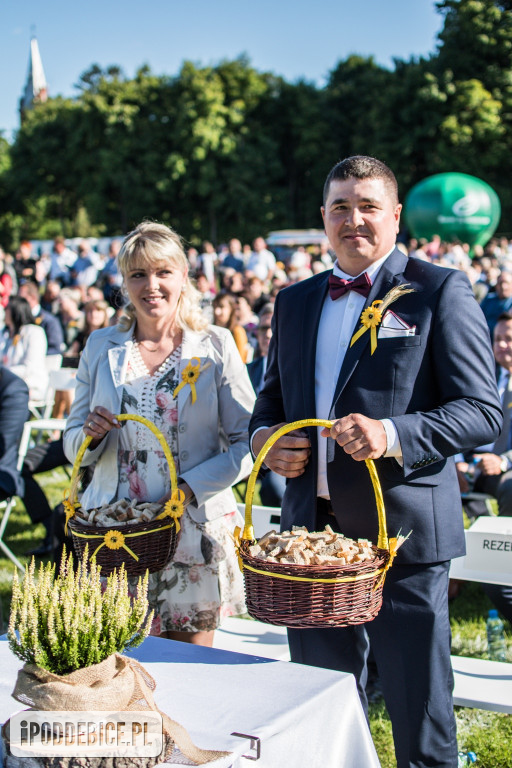 IX Dożynki Powiatu Poddębickiego w Dalikowie