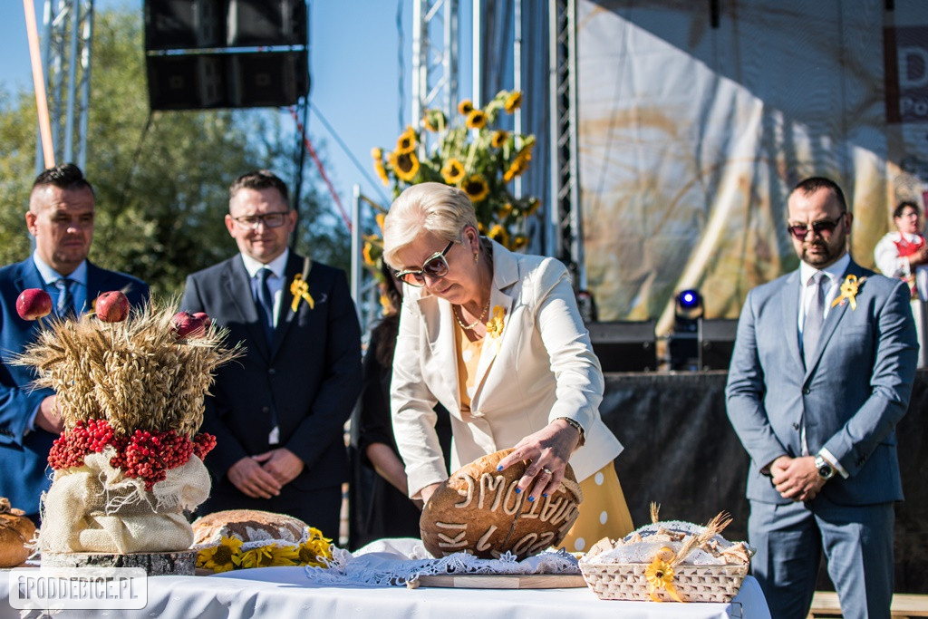 IX Dożynki Powiatu Poddębickiego w Dalikowie