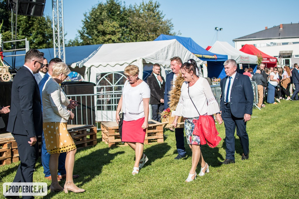 IX Dożynki Powiatu Poddębickiego w Dalikowie